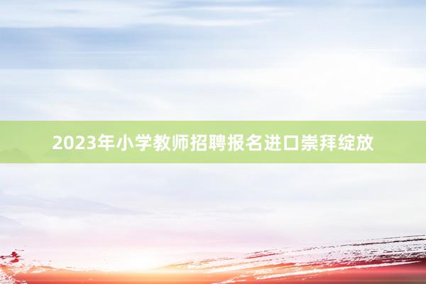 2023年小学教师招聘报名进口崇拜绽放