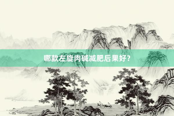 哪款左旋肉碱减肥后果好？