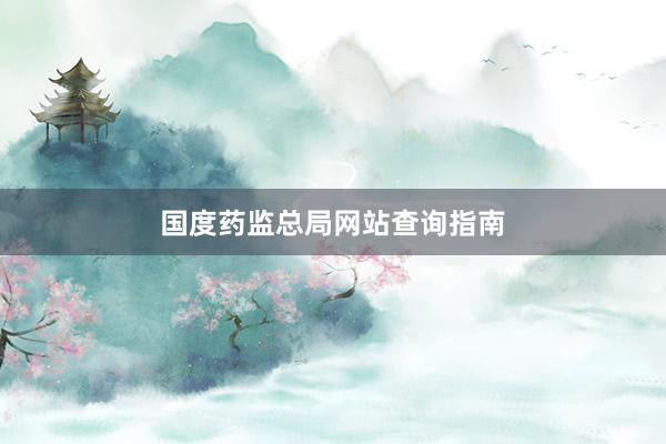 国度药监总局网站查询指南